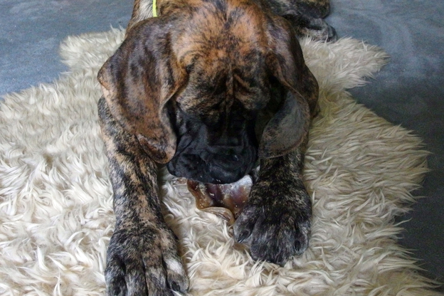 Bild 3